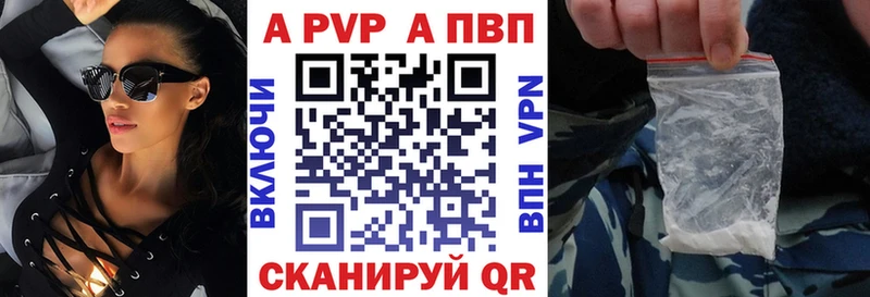 дарнет шоп  Новороссийск  A PVP СК 