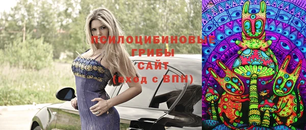 стаф Россошь