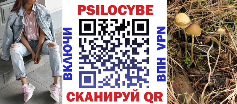 блэк спрут зеркало darknet наркотические препараты Галлюциногенные грибы Cubensis Новороссийск