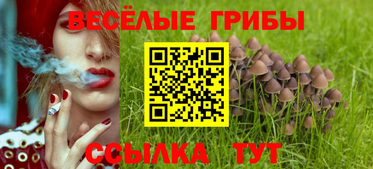Псилоцибиновые грибы GOLDEN TEACHER  Вход с VPN  Новороссийск 