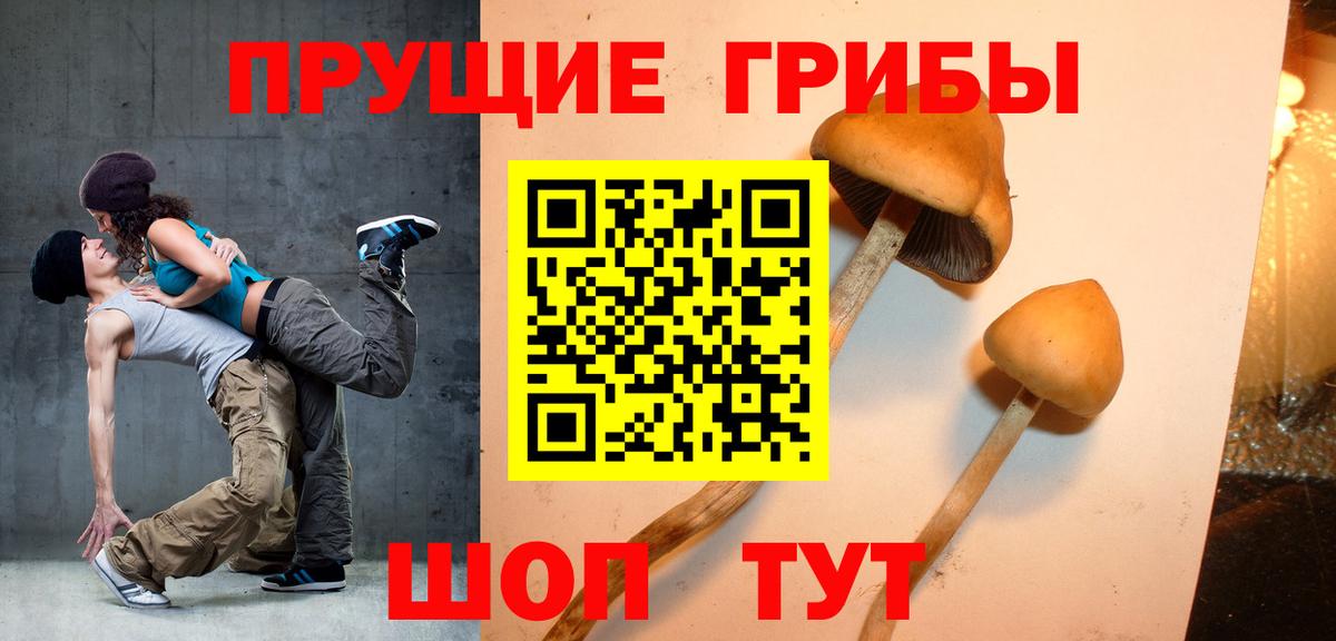 Псилоцибиновые грибы GOLDEN TEACHER Новороссийск